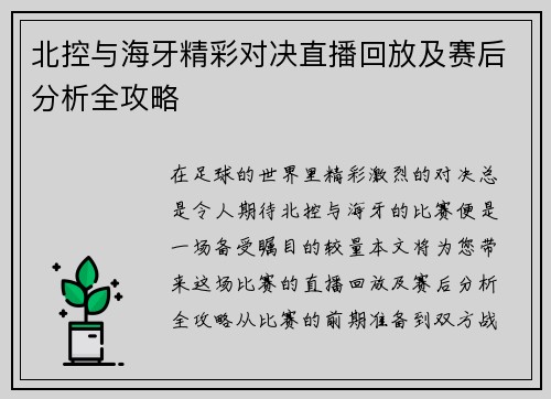 北控与海牙精彩对决直播回放及赛后分析全攻略